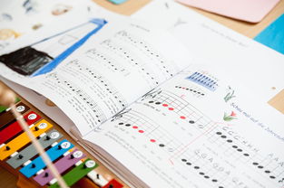 开云体育在线下载-中小学体育健康促进政策执行情况分析,中小学加强体育